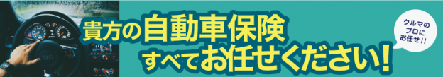 自動車保険D2