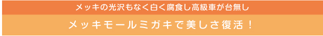 メッキの光沢もなく白く腐食し高級車が台無し_メッキモールミガキで美しさ復活!